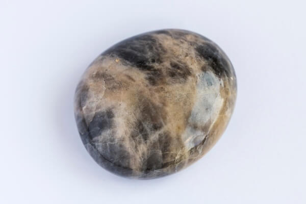 One tumbled piece of Black Moonstone