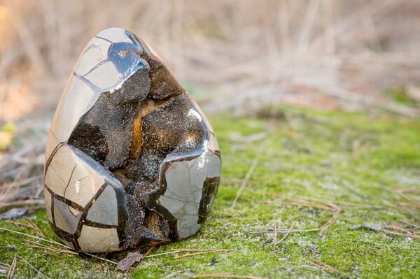 Septarian egg on grass